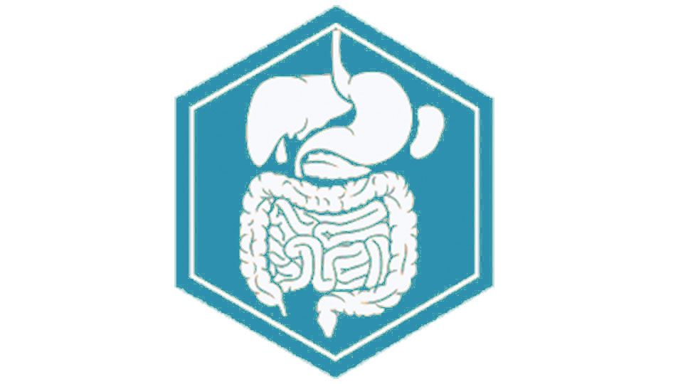 КТ Київ